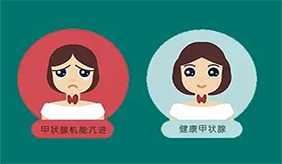 &#20048;&#31454;&#23448;&#32593;&#45;&#20048;&#31454;&#40;&#20013;&#22269;&#41;&#19968;&#31449;&#24335;&#20307;&#32946;&#26381;&#21153;